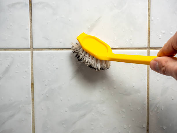 Best Certified Mold Removal  in Dalworthington Gardens, TX